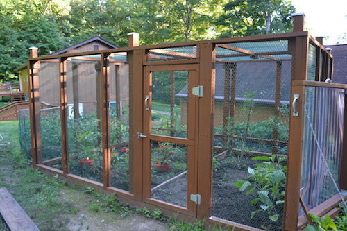 Garden Enclosure 4